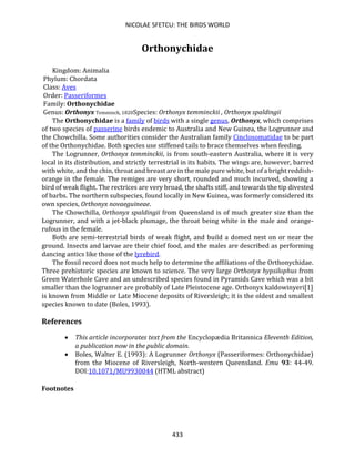 NICOLAE SFETCU: THE BIRDS WORLD
433
Orthonychidae
Kingdom: Animalia
Phylum: Chordata
Class: Aves
Order: Passeriformes
Family: Orthonychidae
Genus: Orthonyx Temminck, 1820Species: Orthonyx temminckii , Orthonyx spaldingii
The Orthonychidae is a family of birds with a single genus, Orthonyx, which comprises
of two species of passerine birds endemic to Australia and New Guinea, the Logrunner and
the Chowchilla. Some authorities consider the Australian family Cinclosomatidae to be part
of the Orthonychidae. Both species use stiffened tails to brace themselves when feeding.
The Logrunner, Orthonyx temminckii, is from south-eastern Australia, where it is very
local in its distribution, and strictly terrestrial in its habits. The wings are, however, barred
with white, and the chin, throat and breast are in the male pure white, but of a bright reddish-
orange in the female. The remiges are very short, rounded and much incurved, showing a
bird of weak flight. The rectrices are very broad, the shafts stiff, and towards the tip divested
of barbs. The northern subspecies, found locally in New Guinea, was formerly considered its
own species, Orthonyx novaeguineae.
The Chowchilla, Orthonyx spaldingii from Queensland is of much greater size than the
Logrunner, and with a jet-black plumage, the throat being white in the male and orange-
rufous in the female.
Both are semi-terrestrial birds of weak flight, and build a domed nest on or near the
ground. Insects and larvae are their chief food, and the males are described as performing
dancing antics like those of the lyrebird.
The fossil record does not much help to determine the affiliations of the Orthonychidae.
Three prehistoric species are known to science. The very large Orthonyx hypsilophus from
Green Waterhole Cave and an undescribed species found in Pyramids Cave which was a bit
smaller than the logrunner are probably of Late Pleistocene age. Orthonyx kaldowinyeri[1]
is known from Middle or Late Miocene deposits of Riversleigh; it is the oldest and smallest
species known to date (Boles, 1993).
References
• This article incorporates text from the Encyclopædia Britannica Eleventh Edition,
a publication now in the public domain.
• Boles, Walter E. (1993): A Logrunner Orthonyx (Passeriformes: Orthonychidae)
from the Miocene of Riversleigh, North-western Queensland. Emu 93: 44-49.
DOI:10.1071/MU9930044 (HTML abstract)
Footnotes
 
