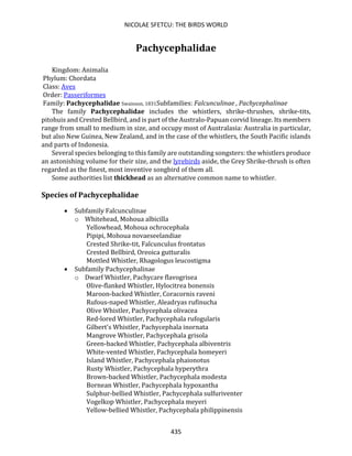 NICOLAE SFETCU: THE BIRDS WORLD
435
Pachycephalidae
Kingdom: Animalia
Phylum: Chordata
Class: Aves
Order: Passeriformes
Family: Pachycephalidae Swainson, 1831Subfamilies: Falcunculinae , Pachycephalinae
The family Pachycephalidae includes the whistlers, shrike-thrushes, shrike-tits,
pitohuis and Crested Bellbird, and is part of the Australo-Papuan corvid lineage. Its members
range from small to medium in size, and occupy most of Australasia: Australia in particular,
but also New Guinea, New Zealand, and in the case of the whistlers, the South Pacific islands
and parts of Indonesia.
Several species belonging to this family are outstanding songsters: the whistlers produce
an astonishing volume for their size, and the lyrebirds aside, the Grey Shrike-thrush is often
regarded as the finest, most inventive songbird of them all.
Some authorities list thickhead as an alternative common name to whistler.
Species of Pachycephalidae
• Subfamily Falcunculinae
o Whitehead, Mohoua albicilla
Yellowhead, Mohoua ochrocephala
Pipipi, Mohoua novaeseelandiae
Crested Shrike-tit, Falcunculus frontatus
Crested Bellbird, Oreoica gutturalis
Mottled Whistler, Rhagologus leucostigma
• Subfamily Pachycephalinae
o Dwarf Whistler, Pachycare flavogrisea
Olive-flanked Whistler, Hylocitrea bonensis
Maroon-backed Whistler, Coracornis raveni
Rufous-naped Whistler, Aleadryas rufinucha
Olive Whistler, Pachycephala olivacea
Red-lored Whistler, Pachycephala rufogularis
Gilbert's Whistler, Pachycephala inornata
Mangrove Whistler, Pachycephala grisola
Green-backed Whistler, Pachycephala albiventris
White-vented Whistler, Pachycephala homeyeri
Island Whistler, Pachycephala phaionotus
Rusty Whistler, Pachycephala hyperythra
Brown-backed Whistler, Pachycephala modesta
Bornean Whistler, Pachycephala hypoxantha
Sulphur-bellied Whistler, Pachycephala sulfuriventer
Vogelkop Whistler, Pachycephala meyeri
Yellow-bellied Whistler, Pachycephala philippinensis
 