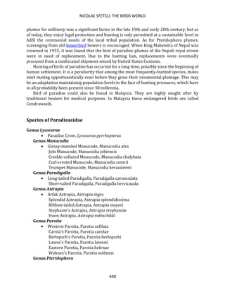 NICOLAE SFETCU: THE BIRDS WORLD
440
plumes for millinery was a significant factor in the late 19th and early 20th century, but as
of today, they enjoy legal protection and hunting is only permitted at a sustainable level to
fulfil the ceremonial needs of the local tribal population. As for Pteridophora plumes,
scavenging from old bowerbird bowers is encouraged. When King Mahendra of Nepal was
crowned in 1955, it was found that the bird of paradise plumes of the Nepali royal crown
were in need of replacement. Due to the hunting ban, replacements were eventually
procured from a confiscated shipment seized by United States Customs.
Hunting of birds of paradise has occurred for a long time, possibly since the beginning of
human settlement. It is a peculiarity that among the most frequently-hunted species, males
start mating opportunistically even before they grow their ornamental plumage. This may
be an adaptation maintaining population levels in the face of hunting pressures, which have
in all probability been present since 30 millennia.
Bird of paradise could also be found in Malaysia. They are highly sought after by
traditional healers for medical purposes. In Malaysia these endangered birds are called
Cendrawasih.
Species of Paradisaeidae
Genus Lycocorax
• Paradise Crow, Lycocorax pyrrhopterus
Genus Manucodia
• Glossy-mantled Manucode, Manucodia atra
Jobi Manucode, Manucodia jobiensis
Crinkle-collared Manucode, Manucodia chalybata
Curl-crested Manucode, Manucodia comrii
Trumpet Manucode, Manucodia keraudrenii
Genus Paradigalla
• Long-tailed Paradigalla, Paradigalla carunculata
Short-tailed Paradigalla, Paradigalla brevicauda
Genus Astrapia
• Arfak Astrapia, Astrapia nigra
Splendid Astrapia, Astrapia splendidissima
Ribbon-tailed Astrapia, Astrapia mayeri
Stephanie's Astrapia, Astrapia stephaniae
Huon Astrapia, Astrapia rothschildi
Genus Parotia
• Western Parotia, Parotia sefilata
Carola's Parotia, Parotia carolae
Berlepsch's Parotia, Parotia berlepschi
Lawes's Parotia, Parotia lawesii
Eastern Parotia, Parotia helenae
Wahnes's Parotia, Parotia wahnesi
Genus Pteridophora
 