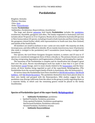 NICOLAE SFETCU: THE BIRDS WORLD
443
Pardalotidae
Kingdom: Animalia
Phylum: Chordata
Class: Aves
Order: Passeriformes
Family: Pardalotidae
Subfamilies: Pardalotinae, Dasyornithinae, Acanthizinae
The large and diverse passerine bird family Pardalotidae includes the pardalotes,
scrubwrens, thornbills, gerygones and allies. The family originated in Australasia and now
includes about 70 species in 15 or 16 genera. Nearly all are confined to Australia (48 species)
or New Guinea (about 20 species, including 6 found in both Australia and New Guinea). Only
the gerygones extend further afield, with representatives in South-east Asia, New Zealand,
and islands of the South Pacific.
All members are small to medium in size—some are very small—the majority are drab,
inconspicuous, and often difficult to identify. All are mainly insectivorous, have 10 primaries
(the tenth is vestigial in the pardalotes) and 9 secondaries (most having a vestigal tenth
secondary).
One species, the Lord Howe Gerygone Gerygone insularis, is extinct; and 25 taxa in 17
species are considered endangered, three of them critically so. The primary threats are land
clearing, overgrazing, degradation and fragmentation of habitat, and changing fire regimes.
The taxonomy of the Pardalotidae is complex and its classification has changed a great
deal over the years. Recent microbiological work has made it clear that it is part of the
Australasian corvid lineage, and it is most closely related to the honeyeaters and the fairy-
wrens, all three families being regarded as part of the superfamily Meliphagoidea. (The
Pardalotidae form the second-largest family of birds in Australasia, after the honeyeaters.)
At various times the Pardalotidae have been classified as Old World warblers, Old World
babblers, and Old World flycatchers. The pardalotes themselves have been placed alone in
their own family and grouped with the flowerpeckers. DNA studies suggest that the
pardalotes may diverge sufficienty from the others in the group to justify regarding them as
a separate family, in which case the remaining genera would be placed in the family
Acanthizidae.
Species of Pardalotidae (part of the super-family Meliphagoidea)
• Subfamily Pardalotinae: pardalotes
o Spotted Pardalote, Pardalotus punctatus
Forty-spotted Pardalote, Pardalotus quadragintus
Red-browed Pardalote, Pardalotus rubricatus
Striated Pardalote, Pardalotus striatus
• Subfamily Dasyornithinae
 