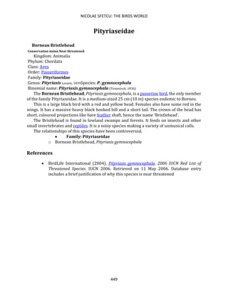 NICOLAE SFETCU: THE BIRDS WORLD
449
Pityriaseidae
Bornean Bristlehead
Conservation status Near threatened
Kingdom: Animalia
Phylum: Chordata
Class: Aves
Order: Passeriformes
Family: Pityriaseidae
Genus: Pityriasis Lesson, 1839Species: P. gymnocephala
Binomial name: Pityriasis gymnocephala (Temminck, 1836)
The Bornean Bristlehead, Pityriasis gymnocephala, is a passerine bird, the only member
of the family Pityriaseidae. It is a medium-sized 25 cm (10 in) species endemic to Borneo.
This is a large black bird with a red and yellow head. Females also have some red in the
wings. It has a massive heavy black hooked bill and a short tail. The crown of the head has
short, coloured projections like bare feather shaft, hence the name 'Bristlehead'.
The Bristlehead is found in lowland swamps and forests. It feeds on insects and other
small invertebrates and reptiles. It is a noisy species making a variety of unmusical calls.
The relationships of this species have been controversial.
• Family: Pityriaseidae
o Bornean Bristlehead, Pityriasis gymnocephala
References
• BirdLife International (2004). Pityriasis gymnocephala. 2006 IUCN Red List of
Threatened Species. IUCN 2006. Retrieved on 11 May 2006. Database entry
includes a brief justification of why this species is near threatened
 