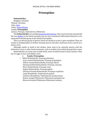 NICOLAE SFETCU: THE BIRDS WORLD
451
Prionopidae
Helmetshrikes
Kingdom: Animalia
Phylum: Chordata
Class: Aves
Order: Passeriformes
Family: Prionopidae
Genera: Prionops, Tephrodornis, Philentoma
The helmetshrikes are smallish passerine bird species. They were formerly classed with
the true shrikes in the family Laniidae, but are now considered sufficiently distinctive to be
separated from that group as the family Prionopidae.
This is an African group of species which are found in scrub or open woodland. They are
similar in feeding habits to shrikes, hunting insects and other small prey from a perch on a
bush or tree.
Although similar in build to the shrikes, these tend to be colourful species with the
distinctive crests or other head ornaments, such as wattles, from which they get their name.
Helmetshrikes are noisy and sociable birds, some of which breed in loose colonies. They
lay 2-4 eggs in neat, well-hidden nests.
• Family: Prionopidae
o White Helmetshrike, Prionops plumatus
Grey-crested Helmetshrike, Prionops poliolophus
Yellow-crested Helmetshrike, Prionops alberti
Chestnut-bellied Helmetshrike, Prionops caniceps
Retz's Helmetshrike, Prionops retzii
Angola Helmetshrike, Prionops gabela
Chestnut-fronted Helmetshrike, Prionops scopifrons
Large Woodshrike, Tephrodornis gularis
Common Woodshrike, Tephrodornis pondicerianus
Rufous-winged Philentoma, Philentoma pyrhopterum
Maroon-breasted Philentoma Philentoma velatum
 