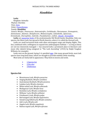 NICOLAE SFETCU: THE BIRDS WORLD
466
Alaudidae
Larks
Kingdom: Animalia
Phylum: Chordata
Class: Aves
Order: Passeriformes
Family: Alaudidae
Genera: Mirafra , Pinarocorys , Heteromirafra , Certhilauda , Chersomanes , Eremopterix ,
Ammomanes , Alaemon , Ramphocoris , Melanocorypha , Calandrella , Spizocorys ,
Eremalauda , Chersophilus , Galerida , Pseudalaemon , Lullula , Alauda , Eremophila
Larks are passerine birds of the predominantly Old World family Alaudidae. Only one
species, the Shore Lark, has spread to North America, where it is called the Horned Lark.
Larks are small terrestrial birds with often extravagant songs and display flights. This
fact, combined with a willingness to expand into anthropogenic habitats — as long as these
are not too intensively managed — has ensured larks a prominent place in literature and
music (the skylark being eulogised in "The Lark Ascending" (1914) by Ralph Vaughan
Williams, for example).
Larks nest on the ground, laying 2–6 speckled eggs. Like many ground birds, most lark
species have long hind claws, which are thought to provide stability while standing.
Most larks are fairly dull in appearance. They feed on insects and seeds.
• 1 Species list
• 2 See also
• 3 Reference
Species list
• Monotonous Lark, Mirafra passerina
• Singing Bushlark, Mirafra cantillans
• Australasian Bushlark, Mirafra javanica
• Latakoo Lark, Mirafra cheniana
• White-tailed Lark, Mirafra albicauda
• Madagascar Lark, Mirafra hova
• Kordofan Lark, Mirafra cordofanica
• Williams' Lark, Mirafra williamsi
• Friedmann's Lark, Mirafra pulpa
• Red-winged Lark, Mirafra hypermetra
• Somali Long-billed Lark, Mirafra somalica
• Ash's Lark, Mirafra ashi
• Angola Lark, Mirafra angolensis
• Rufous-naped Lark, Mirafra africana
 
