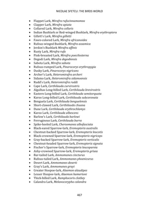 NICOLAE SFETCU: THE BIRDS WORLD
467
• Flappet Lark, Mirafra rufocinnamomea
• Clapper Lark, Mirafra apiata
• Collared Lark, Mirafra collaris
• Indian Bushlark or Red-winged Bushlark, Mirafra erythroptera
• Gillett's Lark, Mirafra gilletti
• Fawn-colored Lark, Mirafra africanoides
• Rufous-winged Bushlark, Mirafra assamica
• Jerdon's Bushlark Mirafra affinis
• Rusty Lark, Mirafra rufa
• Pink-breasted Lark, Mirafra poecilosterna
• Degodi Lark, Mirafra degodiensis
• Sabota Lark, Mirafra sabota
• Rufous-rumped Lark, Pinarocorys erythropygia
• Dusky Lark, Pinarocorys nigricans
• Archer's Lark, Heteromirafra archeri
• Sidamo Lark, Heteromirafra sidamoensis
• Rudd's Lark, Heteromirafra ruddi
• Cape Lark, Certhilauda curvirostris
• Algulhas Long-billed Lark, Certhilauda brevirostris
• Eastern Long-billed Lark, Certhilauda semitorquata
• Karoo Long-billed Lark, Certhilauda subcoronata
• Benguela Lark, Certhilauda benguelensis
• Short-clawed Lark, Certhilauda chuana
• Dune Lark, Certhilauda erythrochlamys
• Karoo Lark, Certhilauda albescens
• Barlow's Lark, Certhilauda barlowi
• Ferruginous Lark, Certhilauda burra
• Spike-heeled Lark, Chersomanes albofasciata
• Black-eared Sparrow-lark, Eremopterix australis
• Chestnut-backed Sparrow-lark, Eremopterix leucotis
• Black-crowned Sparrow-lark, Eremopterix nigriceps
• Gray-backed Sparrow-lark, Eremopterix verticalis
• Chestnut-headed Sparrow-lark, Eremopterix signata
• Fischer's Sparrow-lark, Eremopterix leucopareia
• Ashy-crowned Sparrow-lark, Eremopterix grisea
• Bar-tailed Lark, Ammomanes cincturus
• Rufous-tailed Lark, Ammomanes phoenicurus
• Desert Lark, Ammomanes deserti
• Gray's Lark, Ammomanes grayi
• Greater Hoopoe-lark, Alaemon alaudipes
• Lesser Hoopoe-lark, Alaemon hamertoni
• Thick-billed Lark, Ramphocoris clotbey
• Calandra Lark, Melanocorypha calandra
 