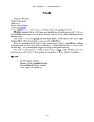 NICOLAE SFETCU: THE BIRDS WORLD
470
Alauda
Kingdom: Animalia
Phylum: Chordata
Class: Aves
Order: Passeriformes
Family: Alaudidae
Genus: Alauda Linnaeus, 1758Species: A. arvensis, A. japonica, A. gulgula, A. razae
Alauda is a genus of larks with three widespread species found across much of Europe,
Asia and in the mountains of north Africa, and one endemic to the island of Razo in the Cape
Verde Islands.
These are 14-18 cm long birds of cultivation, heath, natural steppe and other open
habitats. Their often characteristic songs are delivered in flight.
These are undistinguished looking birds on the ground, mainly streaked brown above
and pale below, and with a short blunt erectile crest. In flight, they show a short tail and short
broad wings. The tail and the rear edge of the wings are edged with white.
The nest is on the ground in tufts of grass, with 3-6 eggs being laid. They eat seeds
supplemented with insects in the breeding season, and form flocks when hot breeding.
Species
• Skylark, Alauda arvensis
Japanese Skylark, Alauda japonica
Oriental Skylark, Alauda gulgula
Raso Skylark, Alauda razae
 