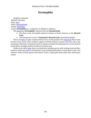 NICOLAE SFETCU: THE BIRDS WORLD
472
Eremophila
Kingdom: Animalia
Phylum: Chordata
Class: Aves
Order: Passeriformes
Family: Alaudidae
Genus: Eremophila Boie, 1828Species: E. bilopha, E. alpestris
The bird genus Eremophila comprises the two horned larks:
• the Shore Lark, Eremophila alpestris, known in North America as the Horned
Lark,
• and Temminck's Lark, or Temminck's Horned Lark, Eremophila bilopha.
These are larks of open country which nest is on the ground. The migratory Shore Lark
breeds across much of the northern regions of North America, Europe and Asia and in the
mountains of Europe. Temminck’s Lark is mainly a resident breeding species across much of
north Africa, through northern Arabia to western Iraq.
Unlike most other larks, these are distinctive looking species with striking head and face
patterns, black and white in Temminck’s Lark and black and yellow in most Shore Larks. The
summer males of both species have black "horns", which give these larks their alternative
names.
 