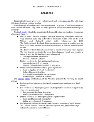 NICOLAE SFETCU: THE BIRDS WORLD
478
Grosbeak
Grosbeak is the name given to several species of seed-eating passerine bird with large
bills, in the finch and cardinal families.
The following is a list of grosbeak species - note that the groups of species are not each
other's closest relatives - they share the name grosbeak purely because of morphological
similarity.
The finch family, Fringillidae contains the following 11 extant species (plus two species
of Grosbeak Canary):
• The São Tomé Grosbeak, Neospiza concolor, a critically endangered restricted-
range endemic found only in forests on the island of São Tomé off the West
African coast, believed extinct until rediscovered in 1996
The Golden-winged Grosbeak, Rynchostruthus socotranus, a localised species
found in northern Somalia, mountains of south-west Arabia and on the island of
Socotra
The Pine Grosbeak, Pinicola enucleator, a pan-Holarctic pine forest species
The two Nearctic species in the genus Coccothraustes (which also contains a
Palearctic species, the Hawfinch C. coccothraustes):
o Evening Grosbeak C. vespertinus
Hooded Grosbeak C. abeillei
• The two species in the East Asian genus Eophona:
o Japanese Grosbeak E. personata
Chinese (Yellow-Billed) Grosbeak E. migratoria
• The four species in the South Asian genus Mycerobas:
o Black-and-yellow Grosbeak M. icterioides
Collared Grosbeak M. affinis
Spot-winged Grosbeak M. melanozanthos
White-winged Grosbeak M. carnipes
The cardinal family, Cardinalidae, of the Americas contains the following 17 extant
species:
• The Red-and-black Grosbeak, Periporphyrus erythromelas of northern South
America
• Two species in the Neotropical genus Saltator (all other species in this genus are
referred to as saltators):
o Slate-coloured Grosbeak, S. groseus
Black-throated Grosbeak, S. fuliginosus
• The two species in the Neotropical genus Caryothraustes:
o Black-faced Grosbeak C. poliogaster
Yellow-green Grosbeak C. canadensis
• The Yellow-shouldered Grosbeak Parkerthraustes humeralis of South America
The Crimson-collared Grosbeak, Rhodothraupis celaeno, a restricted-range
endemic found only in eastern Mexico
 