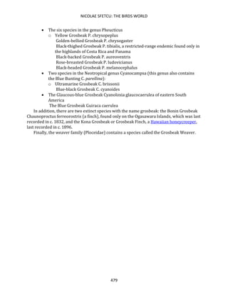 NICOLAE SFETCU: THE BIRDS WORLD
479
• The six species in the genus Pheucticus
o Yellow Grosbeak P. chrysopeplus
Golden-bellied Grosbeak P. chrysogaster
Black-thighed Grosbeak P. tibialis, a restricted-range endemic found only in
the highlands of Costa Rica and Panama
Black-backed Grosbeak P. aureoventris
Rose-breasted Grosbeak P. ludovicianus
Black-headed Grosbeak P. melanocephalus
• Two species in the Neotropical genus Cyanocampsa (this genus also contains
the Blue Bunting C. parellina):
o Ultramarine Grosbeak C. brissonii
Blue-black Grosbeak C. cyanoides
• The Glaucous-blue Grosbeak Cyanoloxia glaucocaerulea of eastern South
America
The Blue Grosbeak Guiraca caerulea
In addition, there are two extinct species with the name grosbeak: the Bonin Grosbeak
Chaunoproctus ferreorostris (a finch), found only on the Ogasawara Islands, which was last
recorded in c. 1832, and the Kona Grosbeak or Grosbeak Finch, a Hawaiian honeycreeper,
last recorded in c. 1896.
Finally, the weaver family (Ploceidae) contains a species called the Grosbeak Weaver.
 