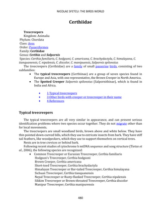 NICOLAE SFETCU: THE BIRDS WORLD
480
Certhiidae
Treecreepers
Kingdom: Animalia
Phylum: Chordata
Class: Aves
Order: Passeriformes
Family: Certhidae
Genus: Certhia and Salpornis
Species: Certhia familiaris, C. hodgsoni, C. americana, C. brachydactyla, C. himalayana, C.
tianquanensis, C. nipalensis, C. discolor, C. manipuensis, Salpornis spilonotus
The treecreepers (Certhiidae) are a family of small passerine birds, consisting of two
subfamilies:
• The typical treecreepers (Certhiinae) are a group of seven species found in
Europe and Asia, with one representative, the Brown Creeper in North America.
• The Spotted Creeper Salpornis spilonotus (Salpornithinae), which is found in
India and Africa.
• 1 Typical treecreepers
• 3 Other birds with creeper or treecreeper in their name
• 4 References
Typical treecreepers
The typical treecreepers are all very similar in appearance, and can present serious
identification problems where two species occur together. They do not migrate other than
for local movements.
The treecreepers are small woodland birds, brown above and white below. They have
thin pointed down-curved bills, which they use to extricate insects from bark. They have stiff
tail feathers, like woodpeckers, which they use to support themselves on vertical trees.
Nests are in tree crevices or behind bark.
Following recent studies of cytochrome b mtDNA sequence and song structure (Tietze et
al., 2006), the following species are recognized:
• Common Treecreeper or Eurasian Treecreeper, Certhia familiaris
Hodgson's Treecreeper, Certhia hodgsoni
Brown Creeper, Certhia americana
Short-toed Treecreeper, Certhia brachydactyla
Himalayan Treecreeper or Bar-tailed Treecreeper, Certhia himalayana
Sichuan Treecreeper, Certhia tianquanensis
Nepal Treecreeper or Rusty-flanked Treecreeper, Certhia nipalensis
Sikkim Treecreeper or Brown-throated Treecreeper, Certhia discolor
Manipur Treecreeper, Certhia manipurensis
 