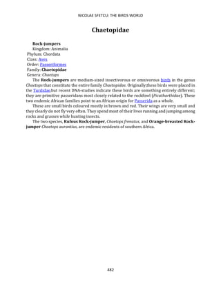 NICOLAE SFETCU: THE BIRDS WORLD
482
Chaetopidae
Rock-jumpers
Kingdom: Animalia
Phylum: Chordata
Class: Aves
Order: Passeriformes
Family: Chaetopidae
Genera: Chaetops
The Rock-jumpers are medium-sized insectivorous or omnivorous birds in the genus
Chaetops that constitute the entire family Chaetopidae. Originally,these birds were placed in
the Turdidae,but recent DNA-studies indicate these birds are something entirely different;
they are primitive passeridans most closely related to the rockfowl (Picatharthidae). These
two endemic African families point to an African origin for Passerida as a whole.
These are small birds coloured mostly in brown and red. Their wings are very small and
they clearly do not fly very often. They spend most of their lives running and jumping among
rocks and grasses while hunting insects.
The two species, Rufous Rock-jumper, Chaetops frenatus, and Orange-breasted Rock-
jumper Chaetops aurantius, are endemic residents of southern Africa.
 