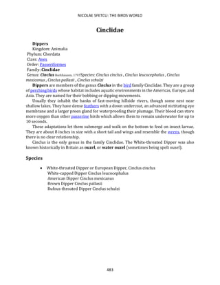 NICOLAE SFETCU: THE BIRDS WORLD
483
Cinclidae
Dippers
Kingdom: Animalia
Phylum: Chordata
Class: Aves
Order: Passeriformes
Family: Cinclidae
Genus: Cinclus Borkhausen, 1797Species: Cinclus cinclus , Cinclus leucocephalus , Cinclus
mexicanus , Cinclus pallasii , Cinclus schulzi
Dippers are members of the genus Cinclus in the bird family Cinclidae. They are a group
of perching birds whose habitat includes aquatic environments in the Americas, Europe, and
Asia. They are named for their bobbing or dipping movements.
Usually they inhabit the banks of fast-moving hillside rivers, though some nest near
shallow lakes. They have dense feathers with a down undercoat, an advanced nictitating eye
membrane and a larger preen gland for waterproofing their plumage. Their blood can store
more oxygen than other passerine birds which allows them to remain underwater for up to
10 seconds.
These adaptations let them submerge and walk on the bottom to feed on insect larvae.
They are about 8 inches in size with a short tail and wings and resemble the wrens, though
there is no clear relationship.
Cinclus is the only genus in the family Cinclidae. The White-throated Dipper was also
known historically in Britain as ouzel, or water ouzel (sometimes being spelt ousel).
Species
• White-throated Dipper or European Dipper, Cinclus cinclus
White-capped Dipper Cinclus leucocephalus
American Dipper Cinclus mexicanus
Brown Dipper Cinclus pallasii
Rufous-throated Dipper Cinclus schulzi
 