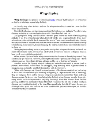 NICOLAE SFETCU: THE BIRDS WORLD
90
Wing clipping
Wing clipping is the process of trimming a bird's primary flight feathers (or primaries)
so that he or she is no longer fully-flighted.
As the clip only trims feathers and not the wings themselves, it does not cause the bird
major physical harm.
Since the feathers do not have nerve endings, the bird does not feel pain. Therefore, wing
clipping is similar to a person having their nails clipped or their hair cut.
An appropriate wing clip will allow a bird to glide across the room without gaining
altitude. If too few primaries are taken, the bird will be able to gain altitude; if too many
primaries are taken, the bird will plummet like a rock. Those experienced with wing clipping
will only take one or two feathers from each side at a time and see how well the bird can fly
before taking more feathers, to avoid causing the bird to plummet and potentially be injured
in doing so.
Many people who keep birds as pets prefer to clip their wings so that their birds will not
crash into mirrors, walls, or windows, all of which are serious hazards to flighted birds: A
hard crash can result in instant death.
Other people clip their birds' wings to minimize the chances of them flying away if they
accidentally get outdoors. However, in the right conditions -- particularly windy days -- birds
whose wings are clipped can still gain altitude and fly out of their owner's reach.
Another reason for clipping wings is to keep pet birds that are social in nature (such as
parrots) more tame. When birds are unclipped, they typically have a greater sense of
independence and can be less likely to socialize with their owners.
When a bird's wings are clipped, an equal number of feathers are taken from each wing.
In ducks and chickens often just one wing is clipped (i.e. 10 primary feathers of one wing),
they are not good fliers and to clip one wing is enough to unbalance their flight and keep
them grounded. To keep a bird from being fully-flighted, wing clipping must be done after
every moult, but it is important to only clip the wings when the feathers have finished
growing and there is no blood in them. If the shaft resembles the ink tube of a ball point pen
clipping can result in the death of the bird. Many people clip their birds' wings themselves,
although it is a good idea to have an avian veterinarian, pet store employee, or breeder
demonstrate the process first.
 