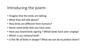 The bird talk | PPT | Free Download