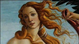 The Birth of Venus
in paintings
 