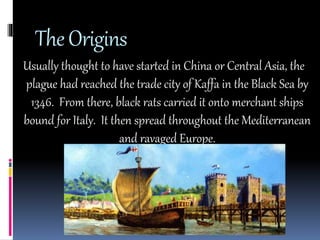 The Origins 
Usually thought to have started in China or Central Asia, the 
plague had reached the trade city of Kaffa in the Black Sea by 
1346. From there, black rats carried it onto merchant ships 
bound for Italy. It then spread throughout the Mediterranean 
and ravaged Europe. 
 