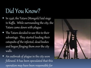 Did You Know? 
 In 1346, the Tatars (Mongols) laid siege 
to Kaffa. While surrounding the city, the 
Tatars came down with plague. 
 The Tatars decided to use this to their 
advantage. They started loading their 
catapults of the infected, dead bodies 
and began flinging them over the city 
walls. 
 An outbreak of plague in the city soon 
followed. It has been speculated that this 
operation may have been responsible for 
 