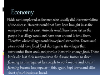 Economy 
Fields went unplowed as the men who usually did this were victims 
of the disease. Harvests would not have been brought in as the 
manpower did not exist. Animals would have been lost as the 
people in a village would not have been around to tend them. 
Therefore whole villages would have faced starvation. Towns and 
cities would have faced food shortages as the villages that 
surrounded them could not provide them with enough food. Those 
lords who lost their manpower to the disease, turned to sheep 
farming as this required less people to work on the land. Grain 
farming became less popular – this, again, kept towns and cities 
short of such basics as bread. 
 