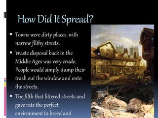 How Did It Spread? 
 Towns were dirty places, with 
narrow filthy streets. 
 Waste disposal back in the 
Middle Ages was very crude. 
People would simply dump their 
trash out the window and onto 
the streets. 
 The filth that littered streets and 
gave rats the perfect 
environment to breed and 
 