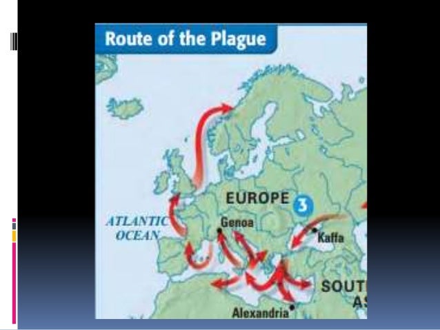 the black death ravaged europe for four agonizing years The black death, a severe epidemic that ravaged fourteenth-century europe, has intrigued scholars ever since francis gasquet's 1893 study contending that this. the black death ravaged europe for four agonizing years The black death, a severe epidemic that ravaged fourteenth-century europe, has intrigued scholars ever since francis gasquet's 1893 study contending that this.