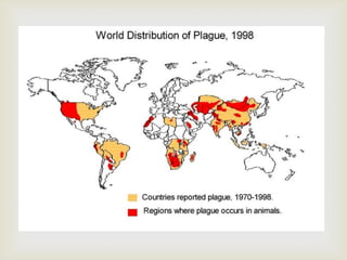 The black death