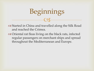Beginnings
                    
 Started in China and travelled along the Silk Road
  and reached the Crimea.
 Oriental rat fleas living on the black rats, infected
  regular passengers on merchant ships and spread
  throughout the Mediterranean and Europe.
 