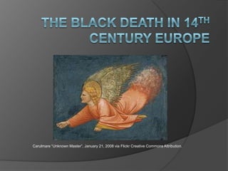 The Black Death in 14th Century Europe Carulmare “Unknown Master”, January 21, 2008 via Flickr Creative Commons Attribution. 