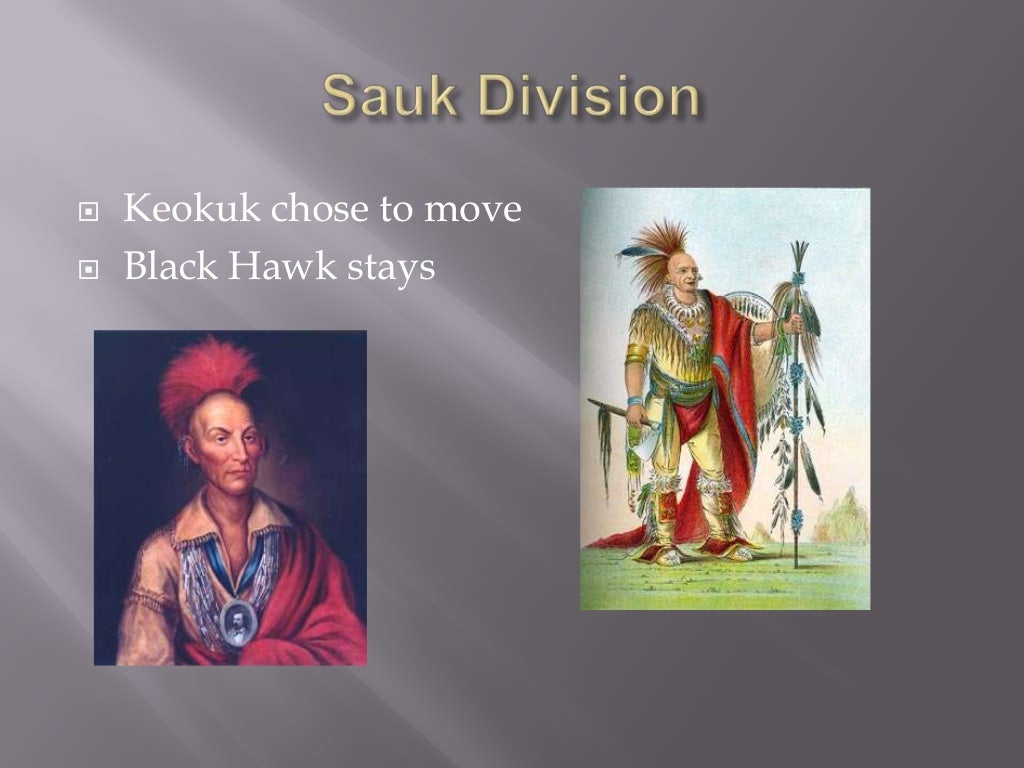 The Black Hawk War