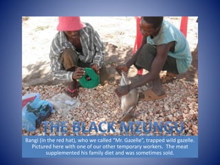 Bangi (in the red hat), who we called “Mr. Gazelle”, trapped wild gazelle. 
Pictured here with one of our other temporary workers. The meat 
supplemented his family diet and was sometimes sold. 
 