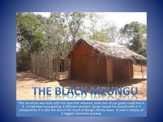 This structure was built with the idea that whoever took care of our goats could live in 
it. It had been occupied by 2 different workers. Bangi moved his second wife in it 
temporarily. It is also the site of the much of Bangi’s family woes. It now is empty, of 
2-legged mammals anyway. 
 