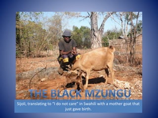 Sijoli, translating to “I do not care” in Swahili with a mother goat that 
just gave birth. 
 