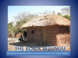 The workers’ banda was finished and served is for 4 years until it finally collapsed. 
 