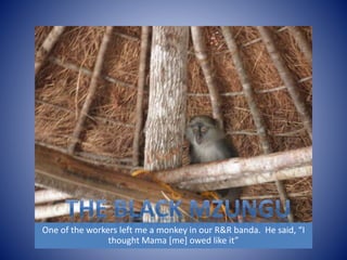 One of the workers left me a monkey in our R&R banda. He said, “I 
thought Mama [me] owed like it” 
 