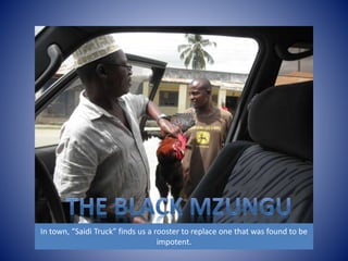 In town, “Saidi Truck” finds us a rooster to replace one that was found to be 
impotent. 
 