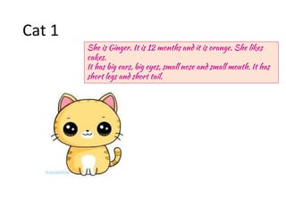 Cat 1
She is Ginger. It is 12 months and it is orange. She likes
cakes.
It has big ears, big eyes, small nose and small mouth. It has
short legs and short tail.
 