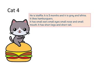 Cat 4
He is Waffle. It is 5 months and it is grey and White.
It likes hamburguers.
It has small ears small eyes small nose and small
mouth. It has short legs and short tail.
 