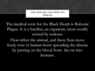 THE DISEASE AND HOW IT’S
                       SPREAD


The medical term for the Black Death is Bubonic
Plague. It is a bacillus, an organism, most usually
                 carried by rodents.
  Fleas infest the animal, and these fleas move
freely over to human hosts spreading the disease
   by passing on the blood from the rat into
                       humans.
 