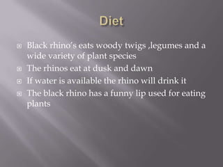    Black rhino’s eats woody twigs ,legumes and a
    wide variety of plant species
   The rhinos eat at dusk and dawn
   If water is available the rhino will drink it
   The black rhino has a funny lip used for eating
    plants
 