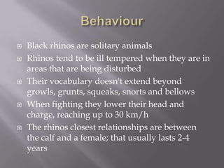    Black rhinos are solitary animals
   Rhinos tend to be ill tempered when they are in
    areas that are being disturbed
   Their vocabulary doesn't extend beyond
    growls, grunts, squeaks, snorts and bellows
   When fighting they lower their head and
    charge, reaching up to 30 km/h
   The rhinos closest relationships are between
    the calf and a female; that usually lasts 2-4
    years
 
