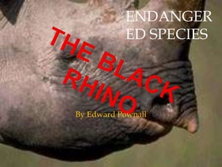ENDANGER
           ED SPECIES




By Edward Pownall
 