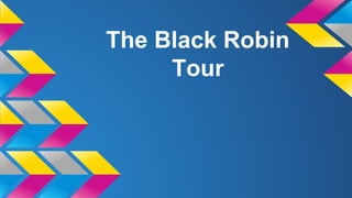 The Black Robin
Tour

 