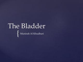 {
The Bladder
Munirah Al Khudhari
 
