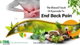 The Blessed Touch
Of Ayurveda To
End Back Pain
www.thlayurveda.in
 