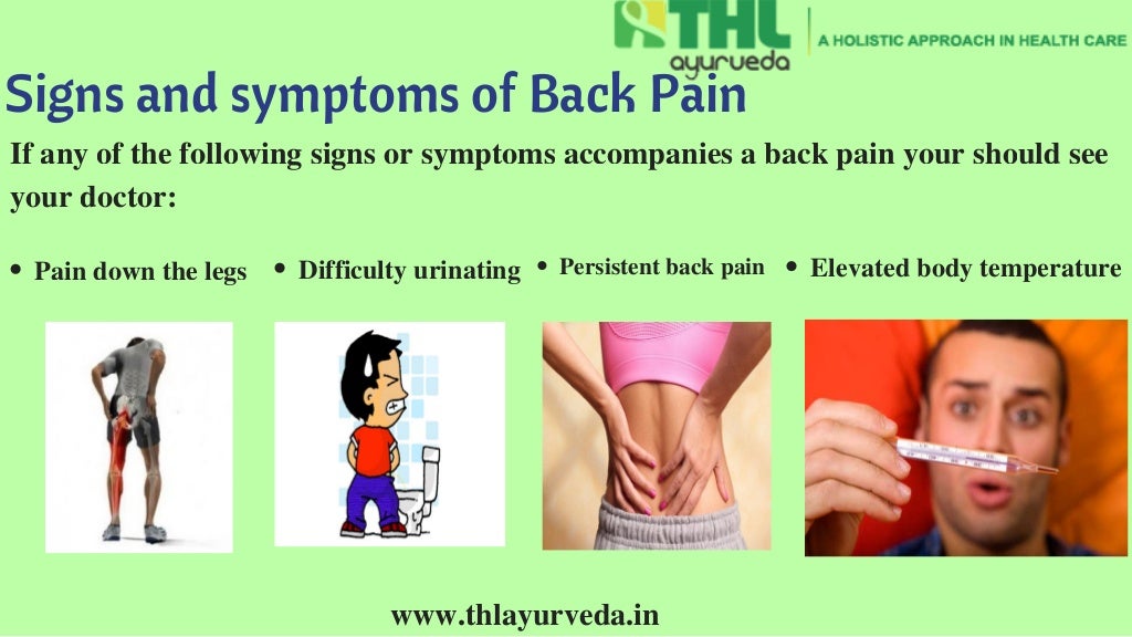 Ayurvedic Treatment For Back Pain In Kerala Ayurvedic Rehabilitation