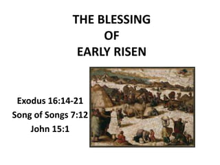 THE BLESSING
OF
EARLY RISEN
Exodus 16:14-21
Song of Songs 7:12
John 15:1
 