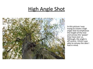 High Angle Shot 
In this picture I was 
trying to create a high 
angle shot to emphasise 
the height of the tree 
and convey the ‘power’ 
they have over us. 
Although, the angle is 
off centre, I think I was 
able to convey the idea I 
had in mind. 
 