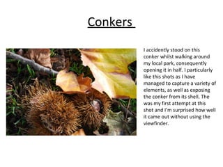 Conkers 
I accidently stood on this 
conker whilst walking around 
my local park, consequently 
opening it in half. I particularly 
like this shots as I have 
managed to capture a variety of 
elements, as well as exposing 
the conker from its shell. The 
was my first attempt at this 
shot and I’m surprised how well 
it came out without using the 
viewfinder. 
 