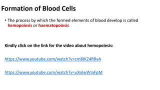 Formation of Blood Cells
• The process by which the formed elements of blood develop is called
hemopoiesis or haematopoiesis
Kindly click on the link for the video about hemopoiesis:
https://www.youtube.com/watch?v=cm8IK24RRvA
https://www.youtube.com/watch?v=uXolwWiaFpM
 