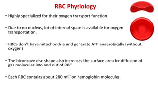 RBC Physiology
• Highly specialized for their oxygen transport function.
• Due to no nucleus, lot of internal space is available for oxygen
transportation.
• RBCs don’t have mitochondria and generate ATP anaerobically (without
oxygen)
• The biconcave disc shape also increases the surface area for diffusion of
gas molecules into and out of RBC
• Each RBC contains about 280 million hemoglobin molecules.
 
