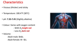 Characteristics
• Viscous (thicker) and sticky
• Temperature: 100.4°F (38°C)
• pH: 7.35-7.45 (Slightly alkaline)
• Colour: Varies with oxygen content
- With O2 bright red
- Less O2 dark red
• Volume:
Adult male: 5-6 L
Adult female: 4 – 5 L
 