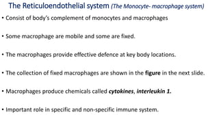 The Reticuloendothelial system (The Monocyte- macrophage system)
• Consist of body’s complement of monocytes and macrophages
• Some macrophage are mobile and some are fixed.
• The macrophages provide effective defence at key body locations.
• The collection of fixed macrophages are shown in the figure in the next slide.
• Macrophages produce chemicals called cytokines, interleukin 1.
• Important role in specific and non-specific immune system.
 